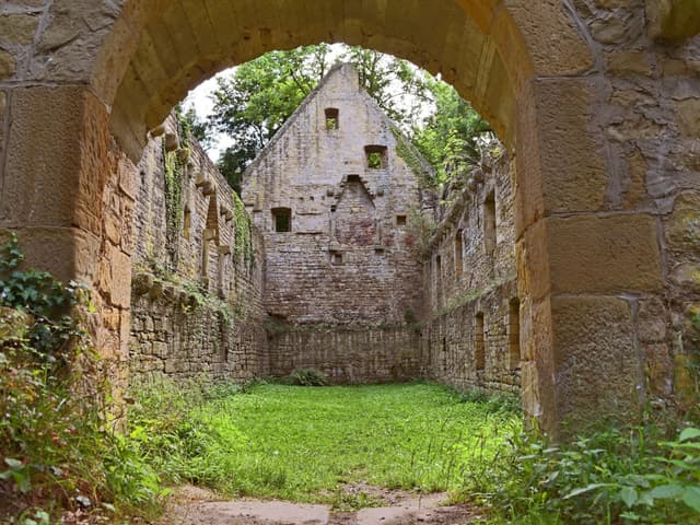 Klosterruine Disibodenberg
