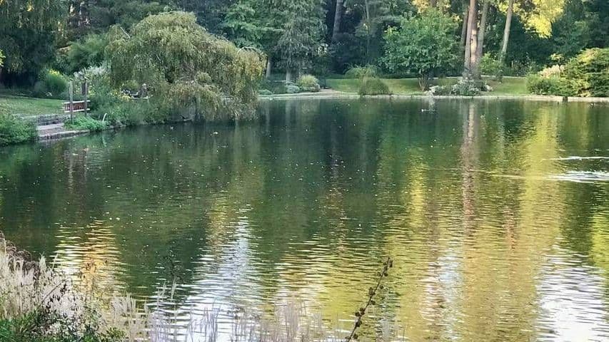 Hainweiher