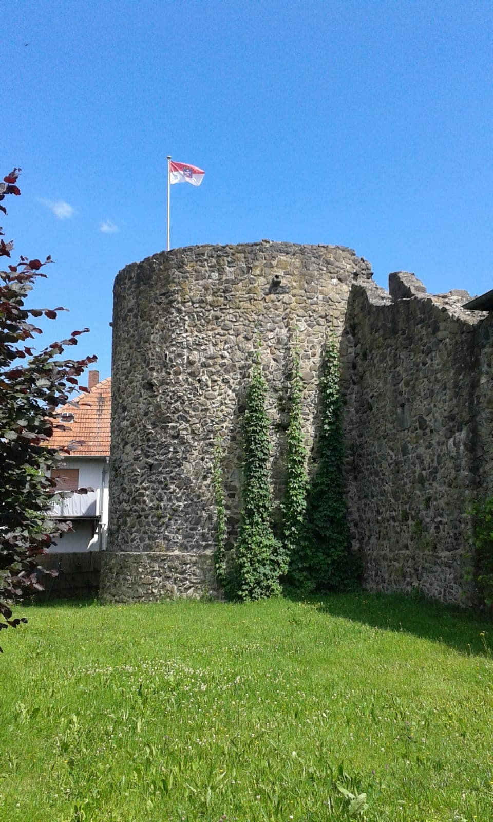 Die Landesfahne weht über der Burg