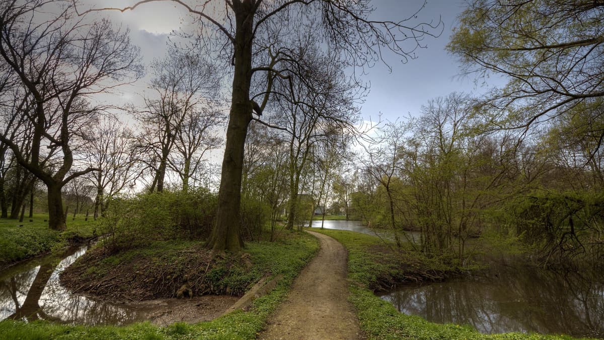 Gutspark Peseckendorf: Am Mühlenteich