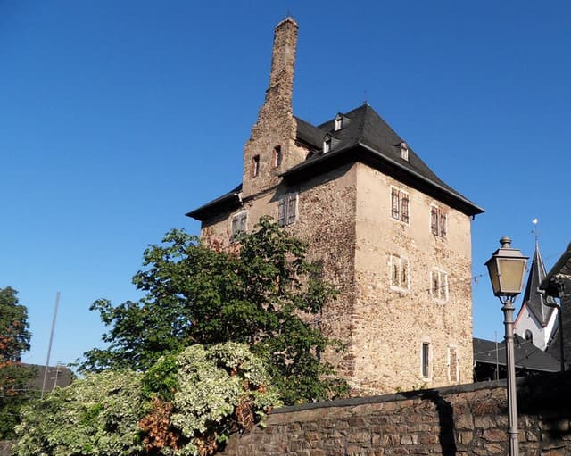 Hattenheimer Burg