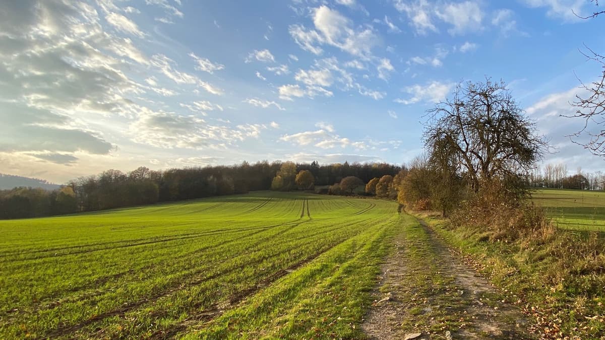 Blick aufs Römerlager