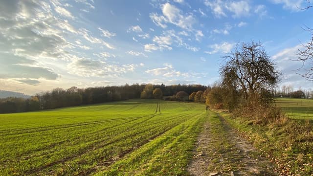 Das Römerlager Hedemünden