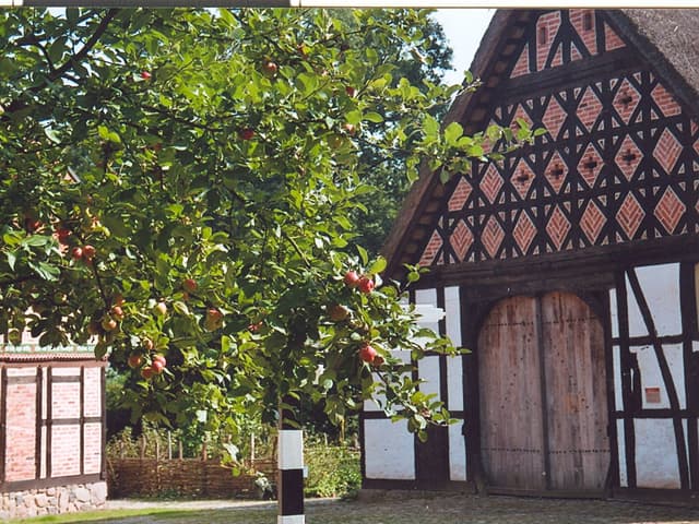 Freilichtmuseum Diesdorf