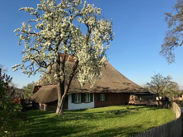 Büdnerei Hoben 12