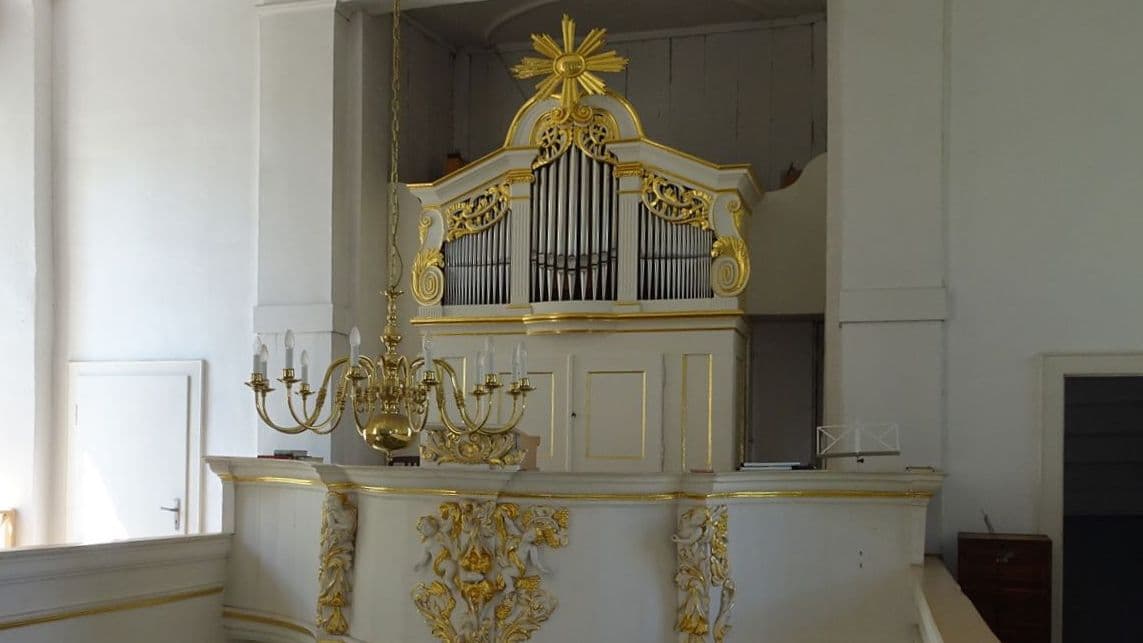 Blick zur Orgel
