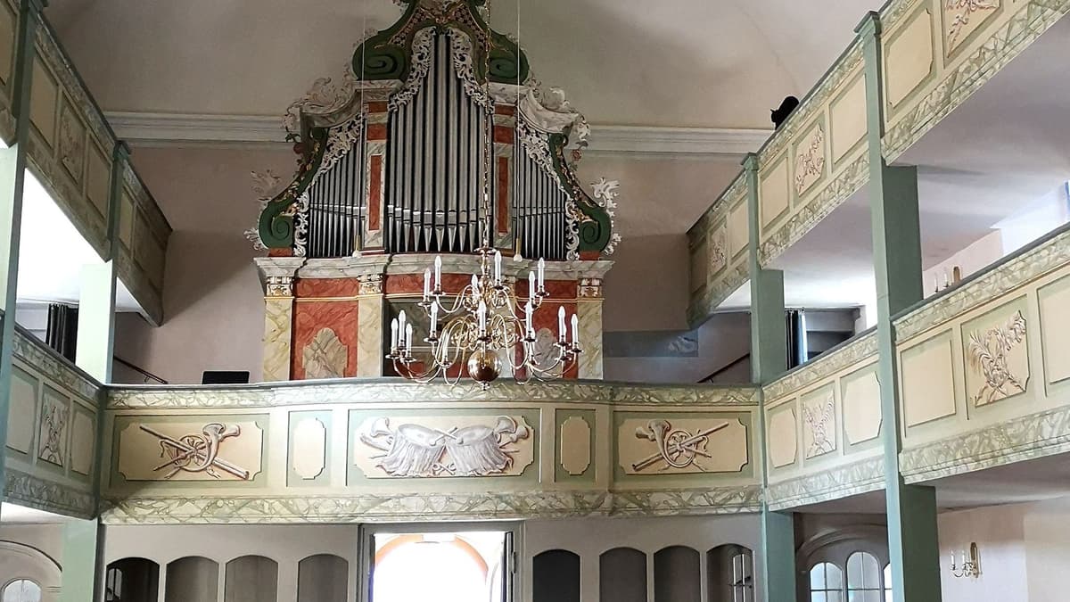 Blick zur Daniel-Ranfft-Orgel von 1764