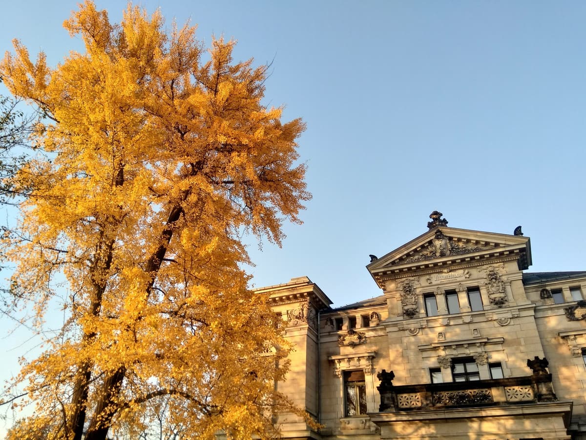 Budde-Haus, Kunstgarten