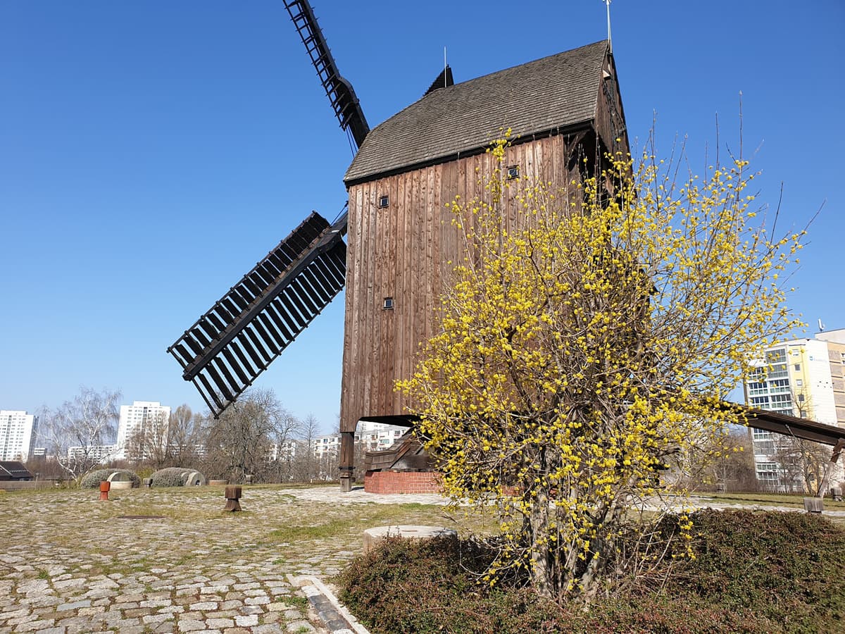 Marzahner Mühle im Frühling
