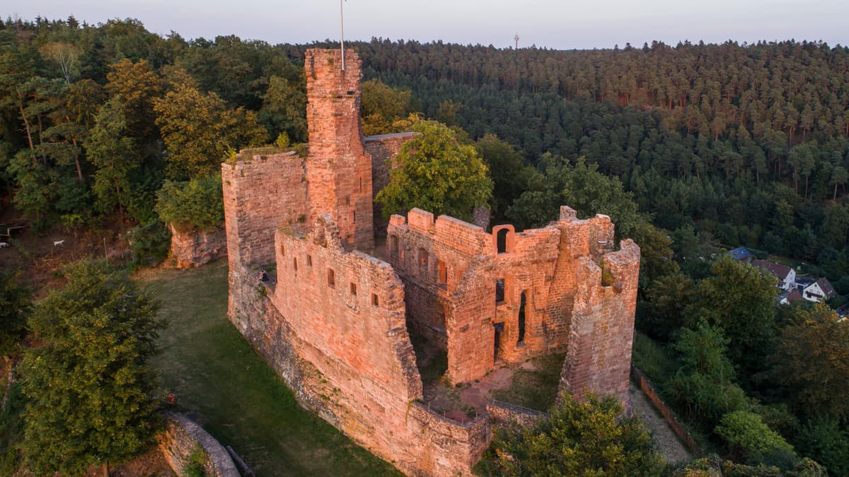 Burg Hohenecken_Vogelflug