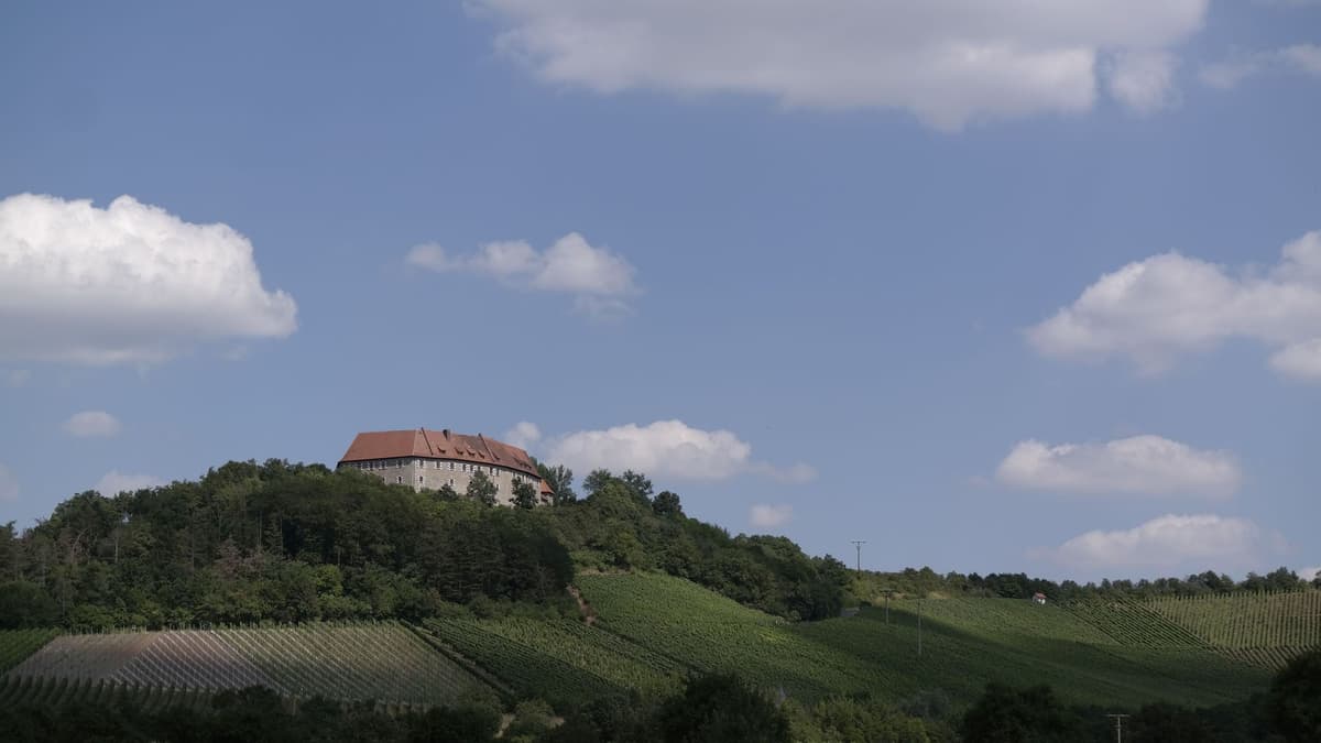 Burg Hoheneck