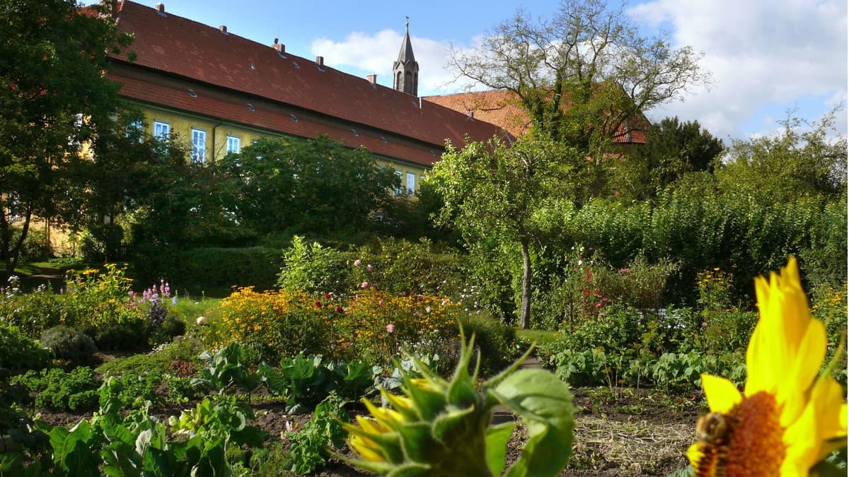 Kloster Mariensee