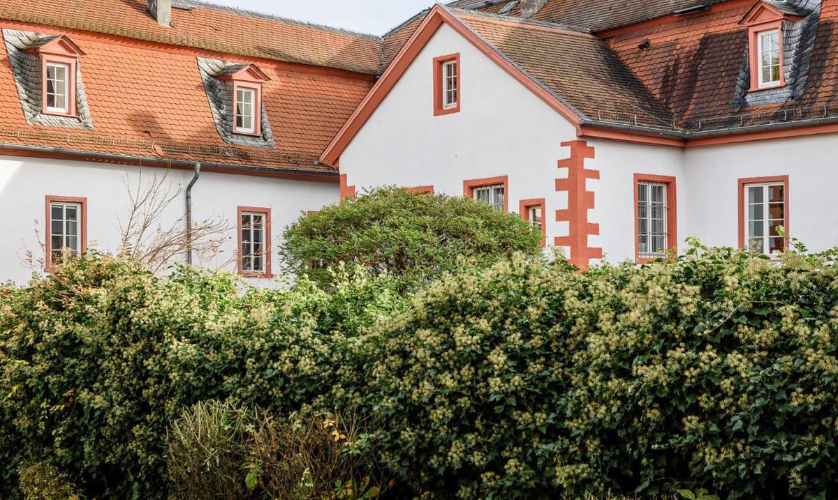 Rückseite des Darmstädter Schlosses