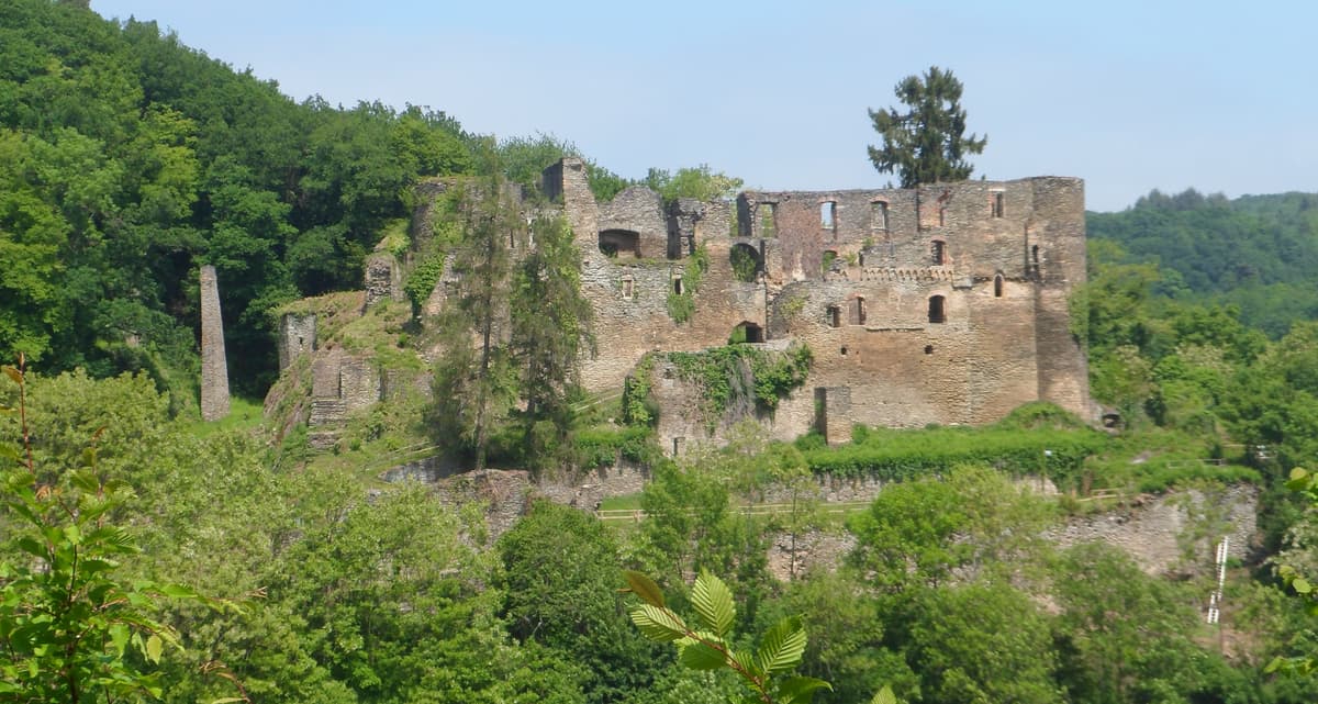 Dalburg Südseite/Talseite
