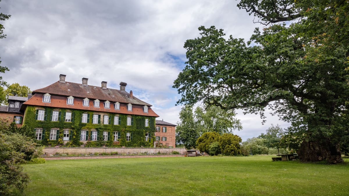 Schloss Gartow, Schlosspark