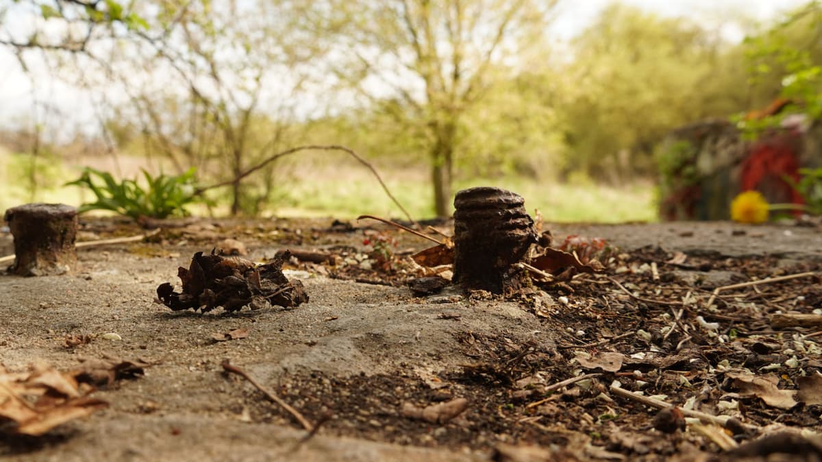 Befestigungsbolzen auf dem Fundament