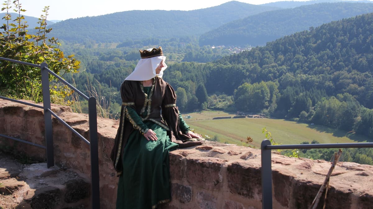 Blick von der Falkenburg