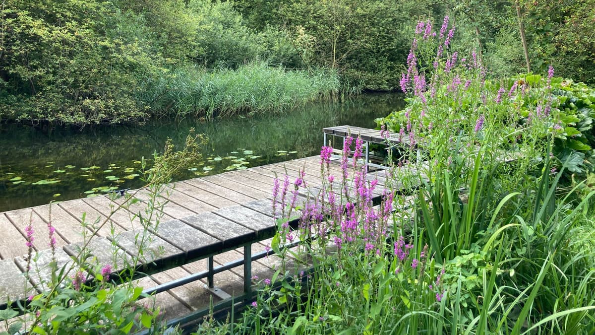 Steganlage an der Schwentinewiese