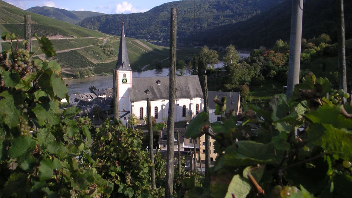 Gesamtanicht