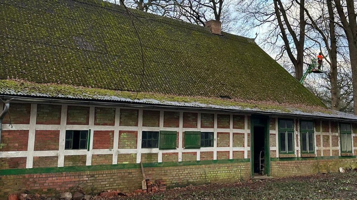 Ansicht Ostseite