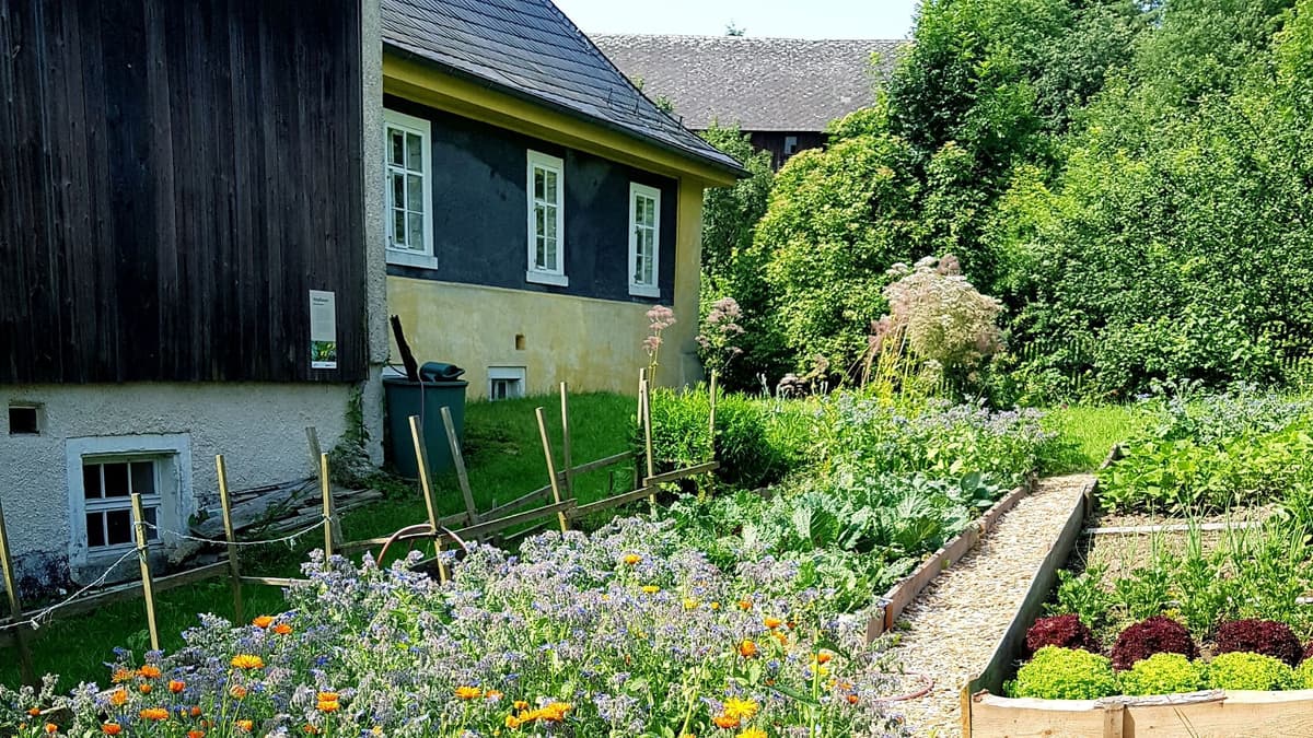Freilichtteil mit Gemüsegarten