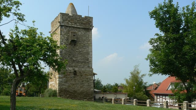 Fronveste