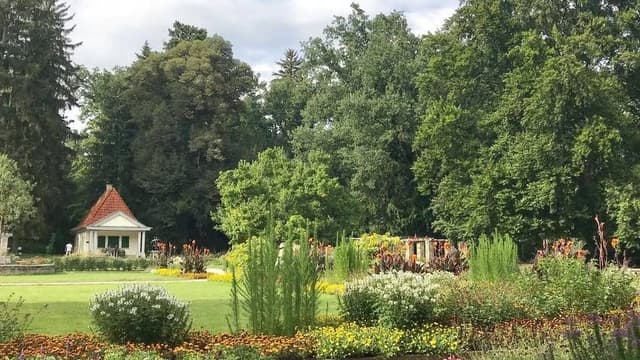 Bürgerparkverein Bamberger Hain