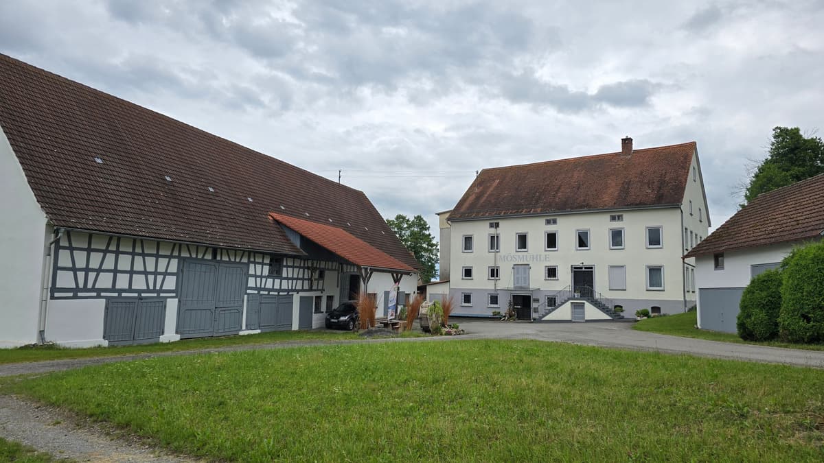 Mösmühle