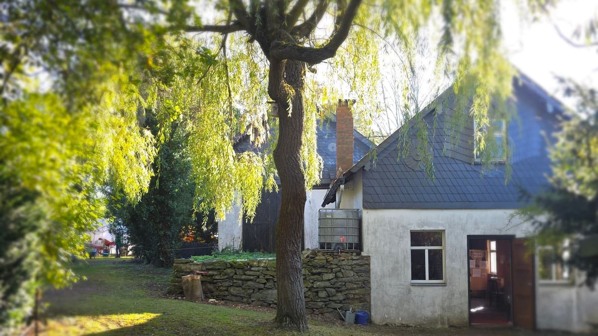 Blick Richtung Eingang