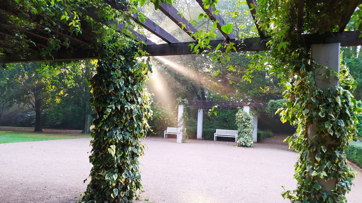 Pergola