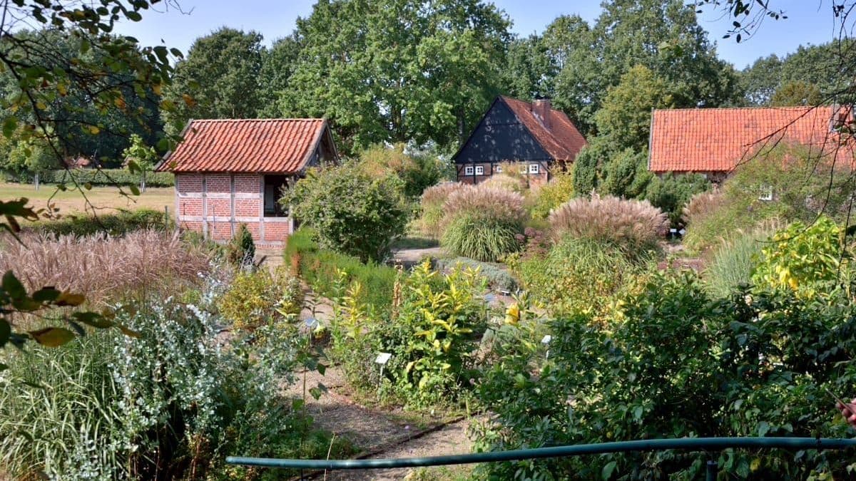 Heilkräutergarten