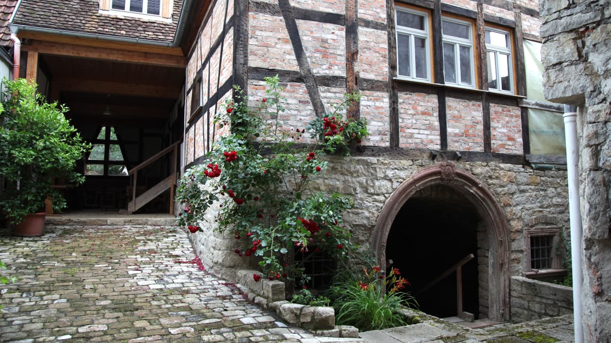 Hof mit Kellerhaus und Tenne