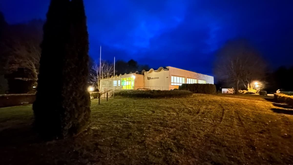 Die Stadtbibliothek