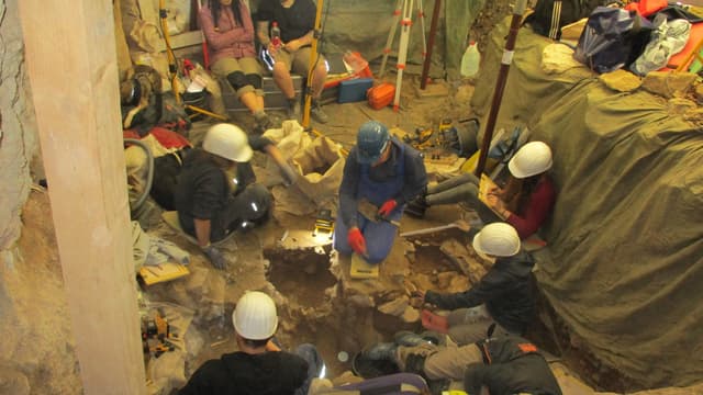 Blätterhöhle