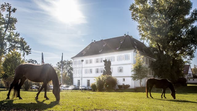 Schloss Köngen