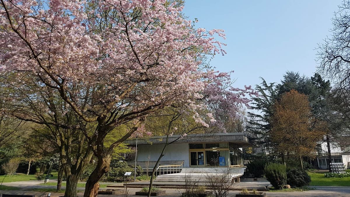 Trinkpavillon im Frühjahr