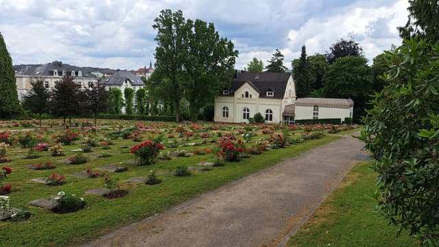 Niederländisch-reformierter Friedhof