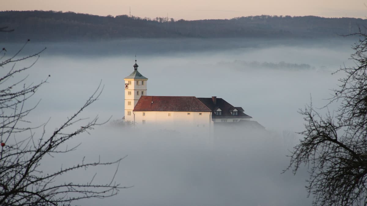 Schloss Kaltenstein im Nebel