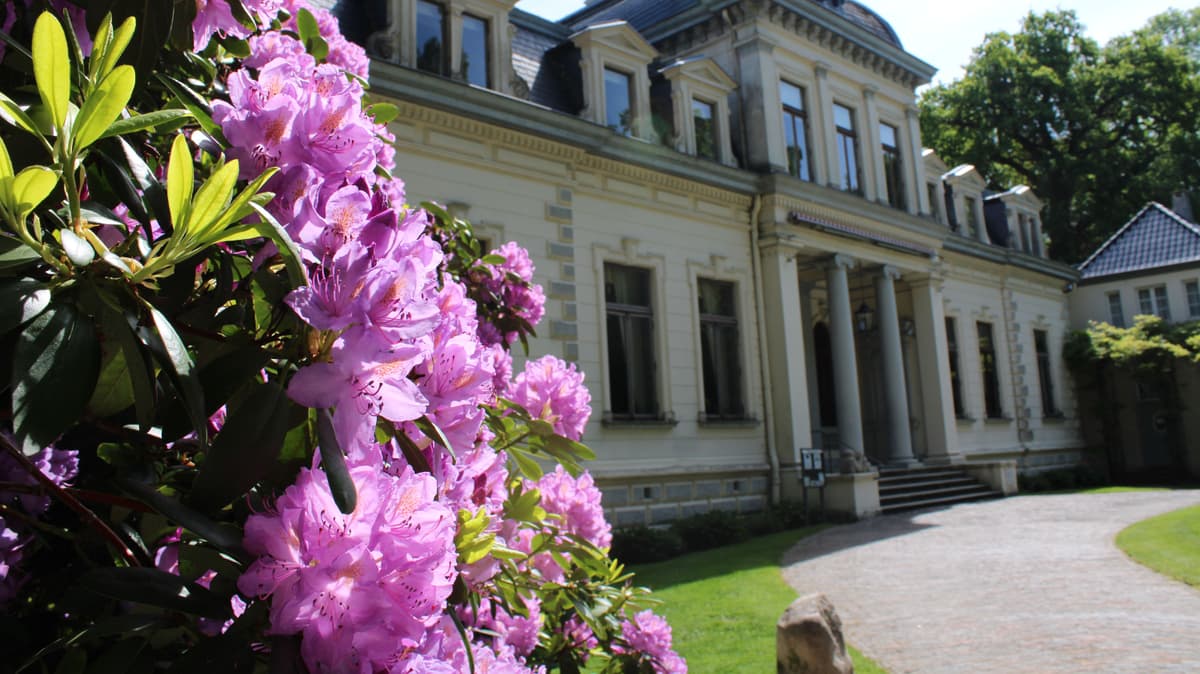 Palais Rastede