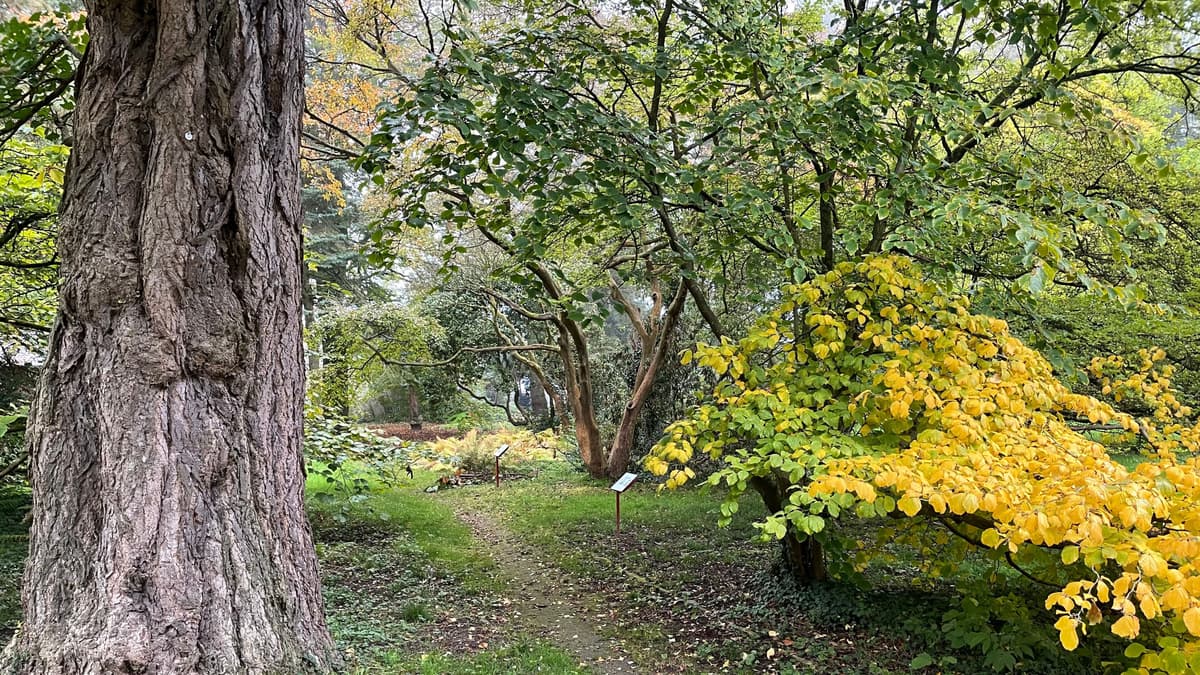 Forstbotanischer Garten
