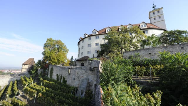 Schloss Kaltenstein