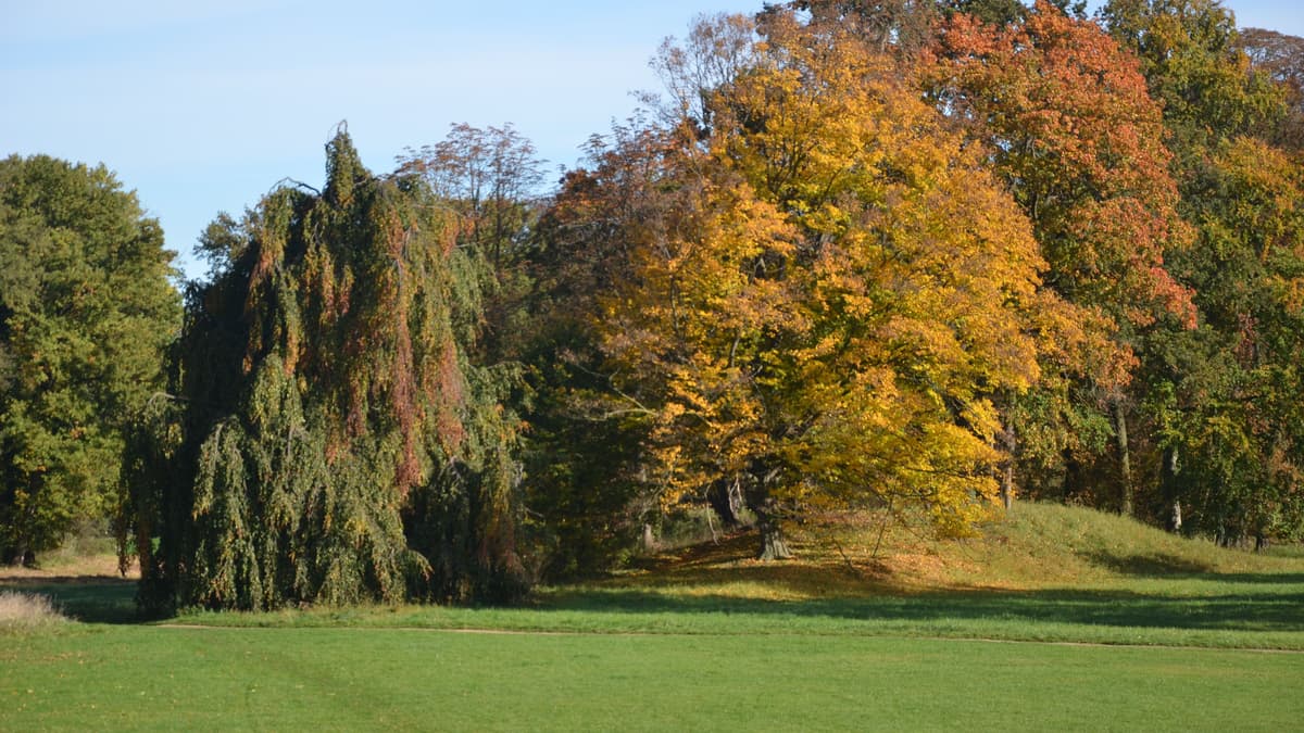 Hexenberg im Lenne-Park
