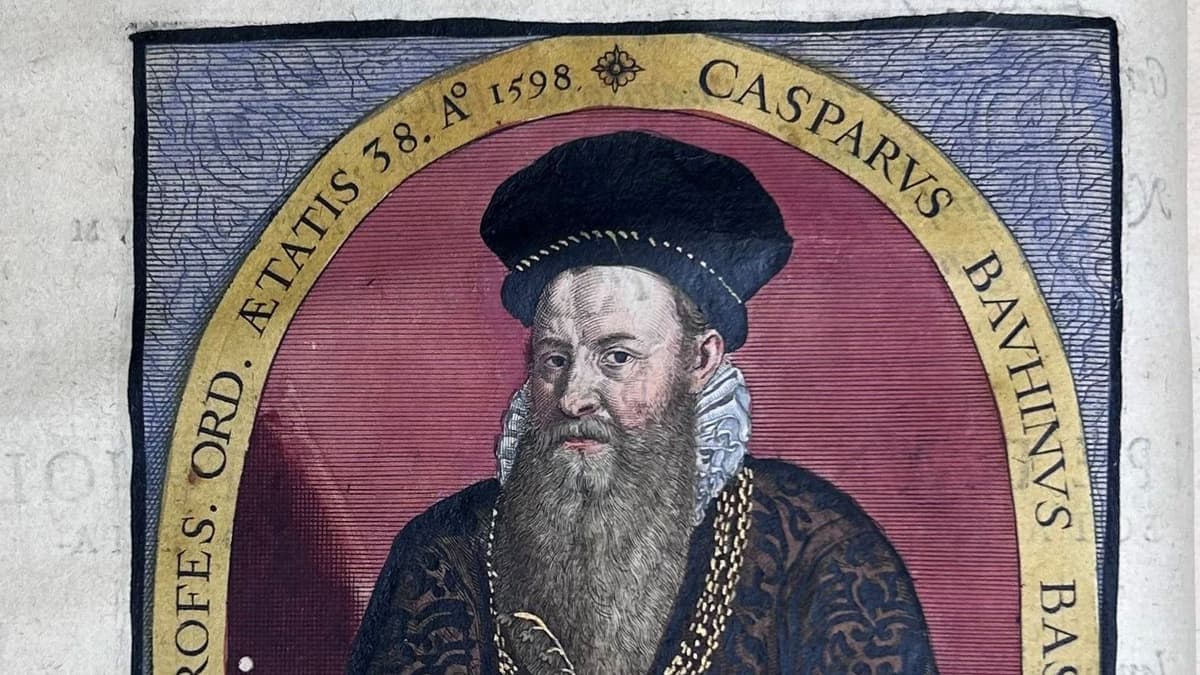 Bauhin: Arzt und Botaniker