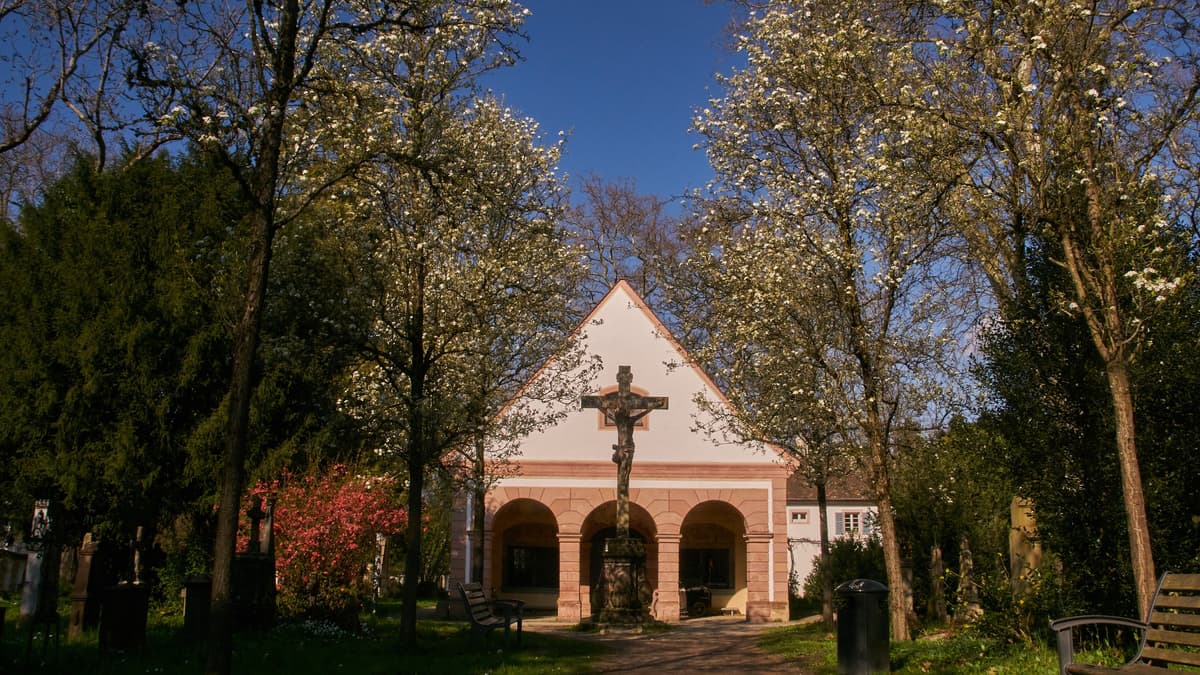 Michaelskapelle von Süden mit blühenden Birnbäumen