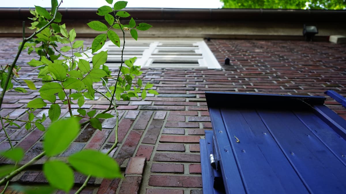 Fassade des Ateliertrakts des Franz Radziwill Hauses