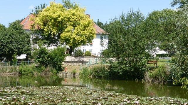Blick vom Teich auf Schloss Schliestedt