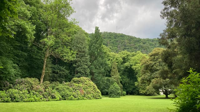 Park und Arboretum Haus Nachrodt