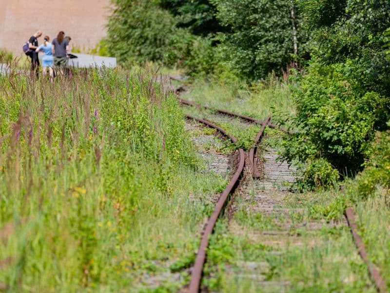 Gleise am denk.mal Hannoverscher Bahnhof