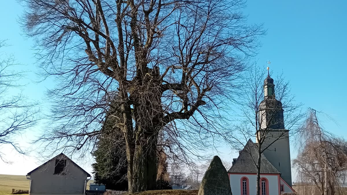 Linde mit Denkmal und Kirche