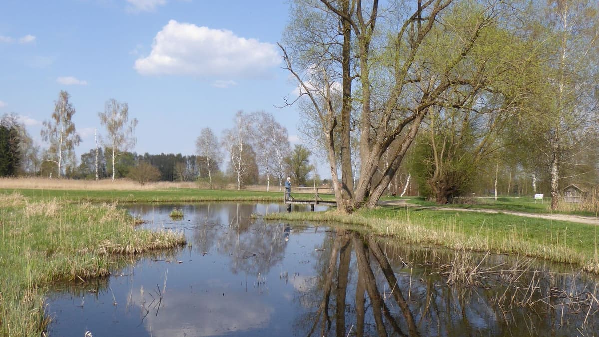 Teich im Torferlebnispfad